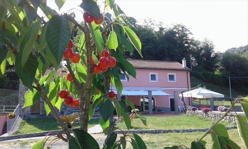 B&B La Casina Rosa La Spezia Valeriano Lunense エクステリア 写真