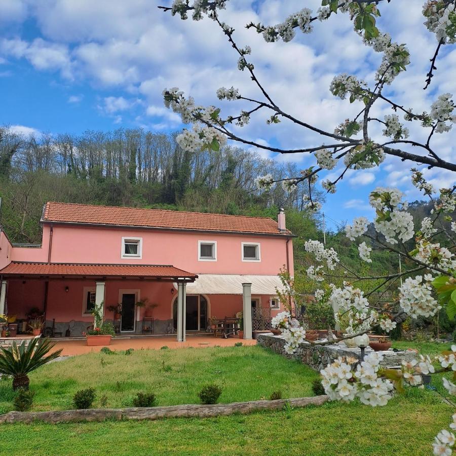 B&B La Casina Rosa La Spezia Valeriano Lunense エクステリア 写真